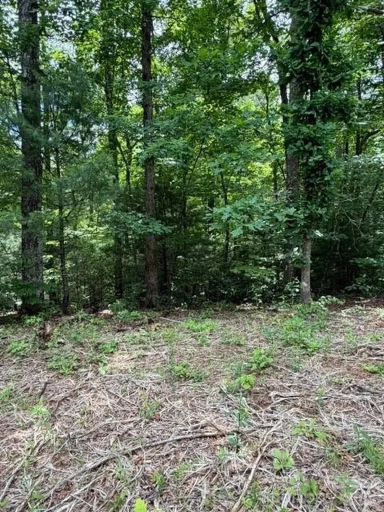 0 Pear Tree Drive Lake Lure NC 28746