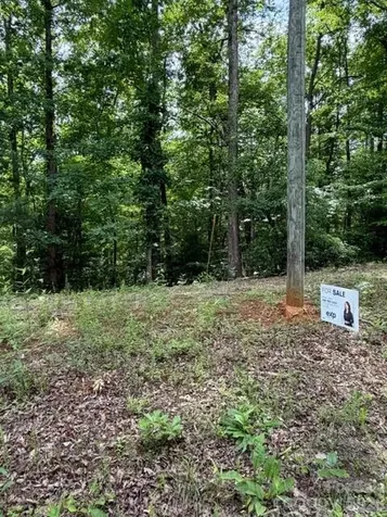 0 Pear Tree Drive Lake Lure NC 28746