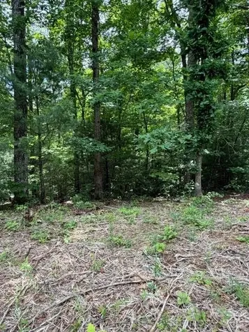 0 Pear Tree Drive Lake Lure NC 28746
