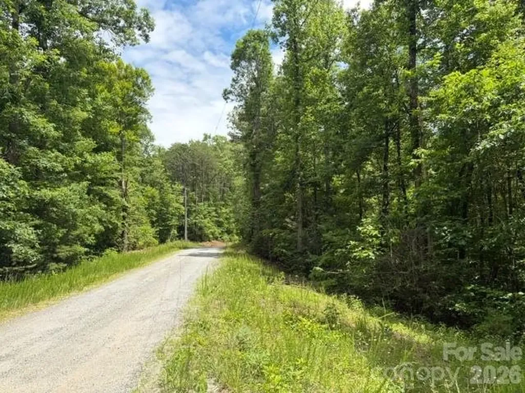 0 Country Way Lake Lure NC 28746