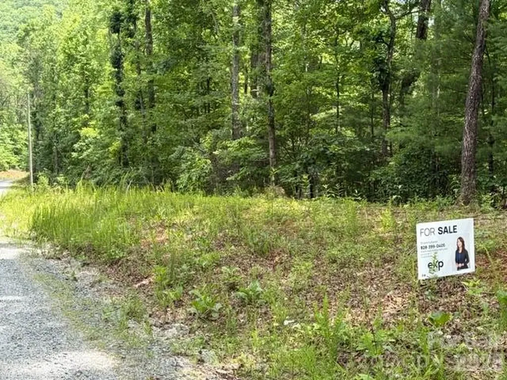 0 Country Way Lake Lure NC 28746
