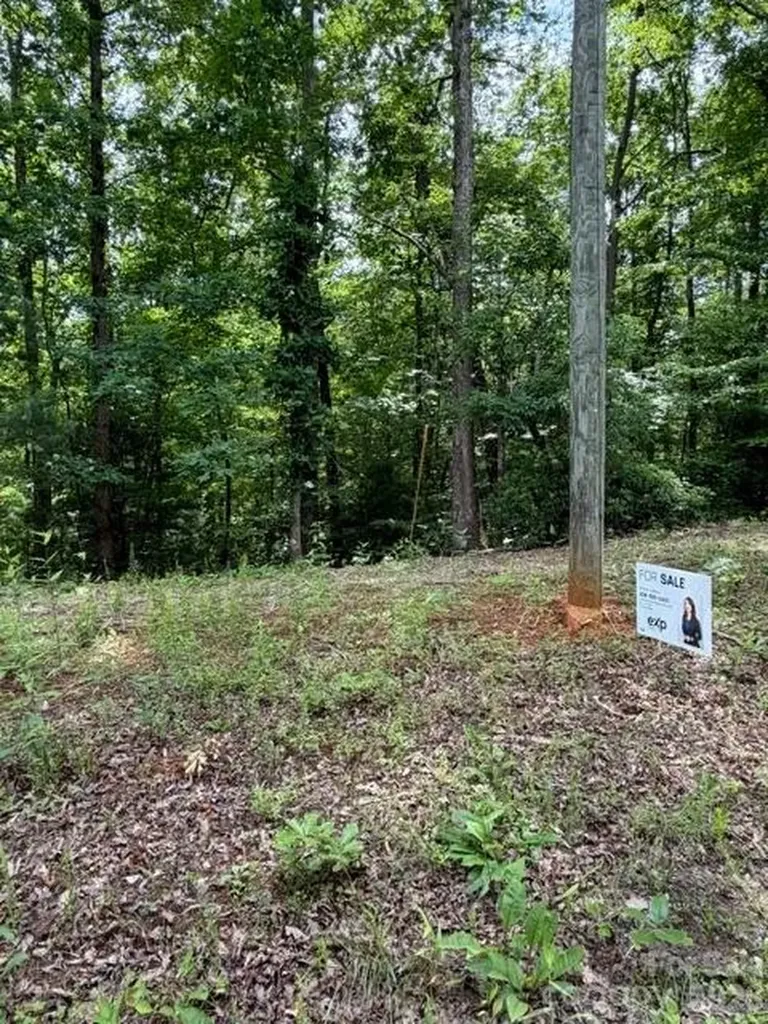 0 Country Way Lake Lure NC 28746