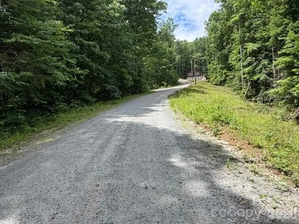 0 Country Way Lake Lure NC 28746