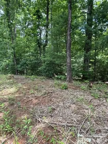 0 Country Way Lake Lure NC 28746