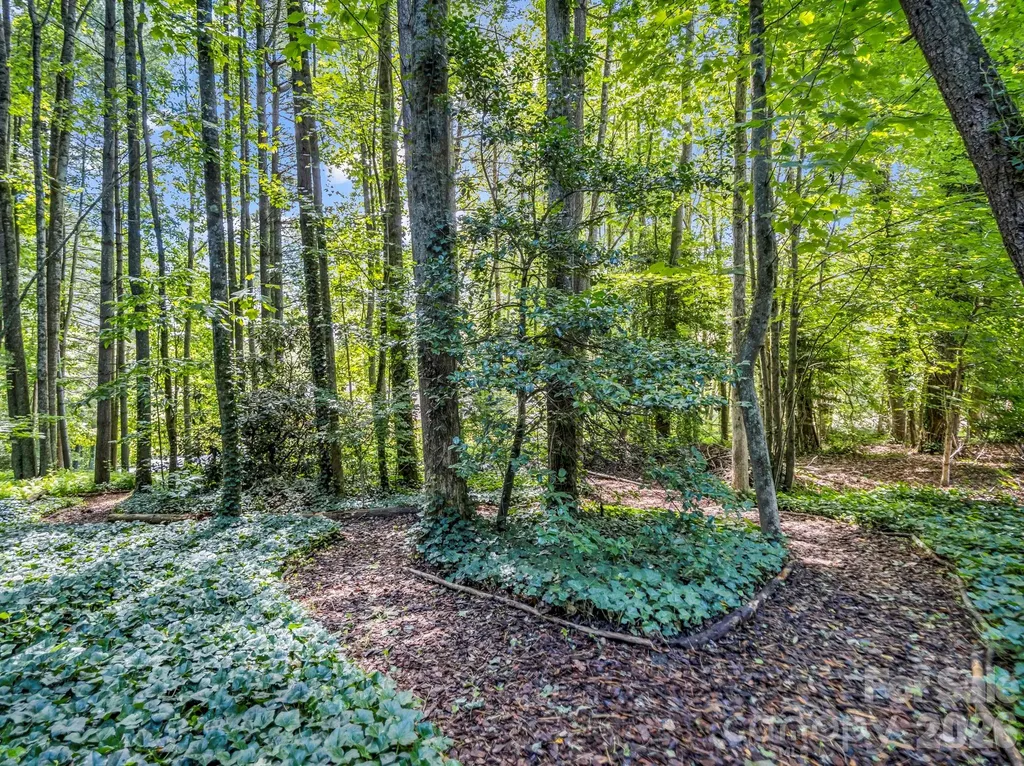 115 Woodhaven Drive Hendersonville NC 28739