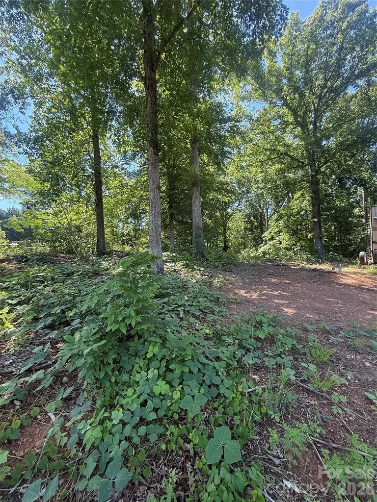 4075 Mamas Garden Drive Hickory NC 28602