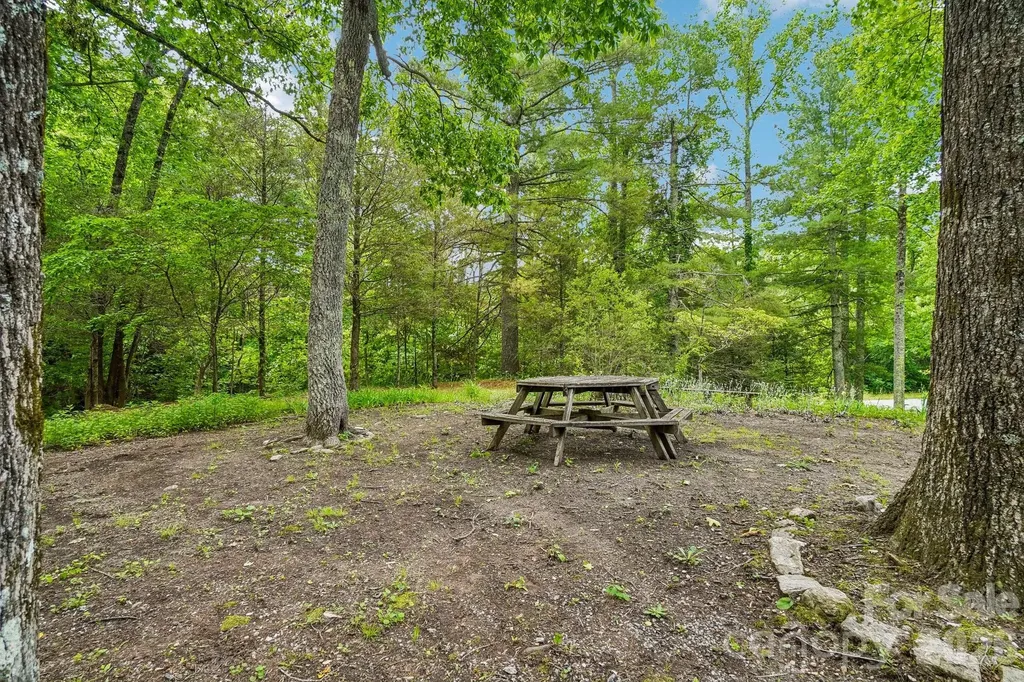 3229 N Bearwallow Road Hendersonville NC 28792