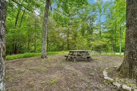3229 N Bearwallow Road Hendersonville NC 28792