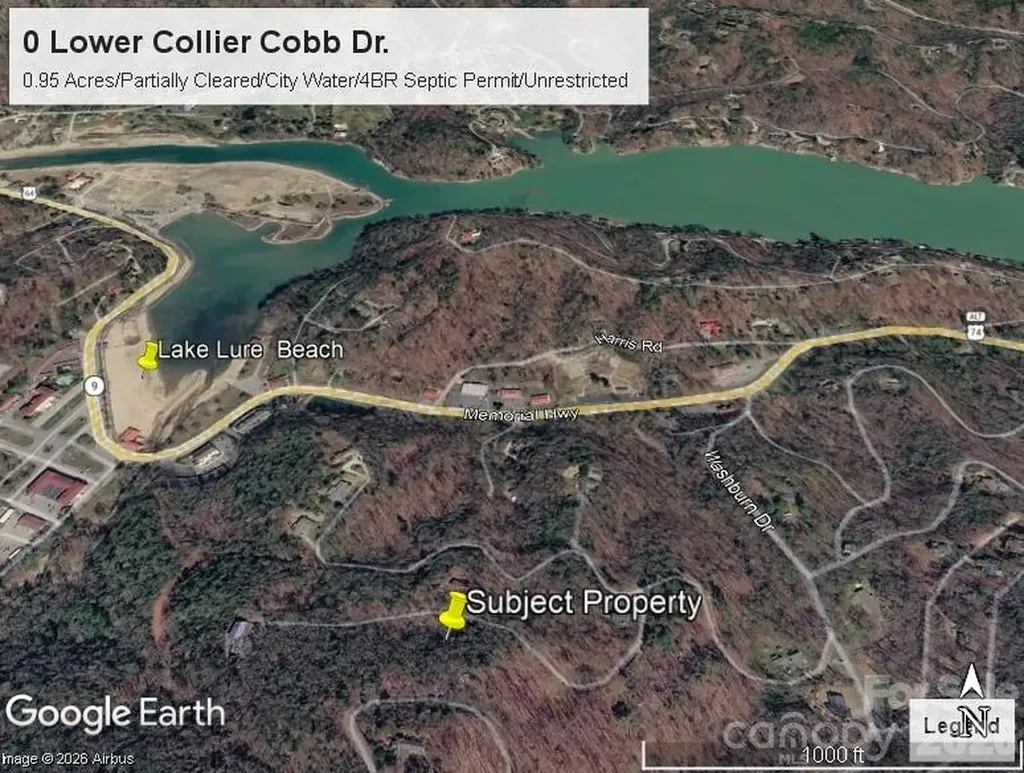 0 Lower Collier Cobb Drive Lake Lure NC 28746