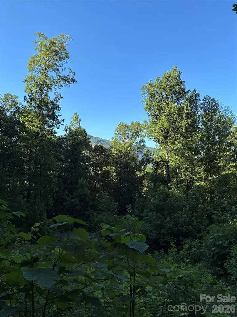 0 Lower Collier Cobb Drive Lake Lure NC 28746