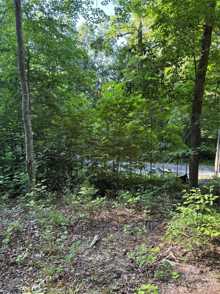 0 Lower Collier Cobb Drive Lake Lure NC 28746