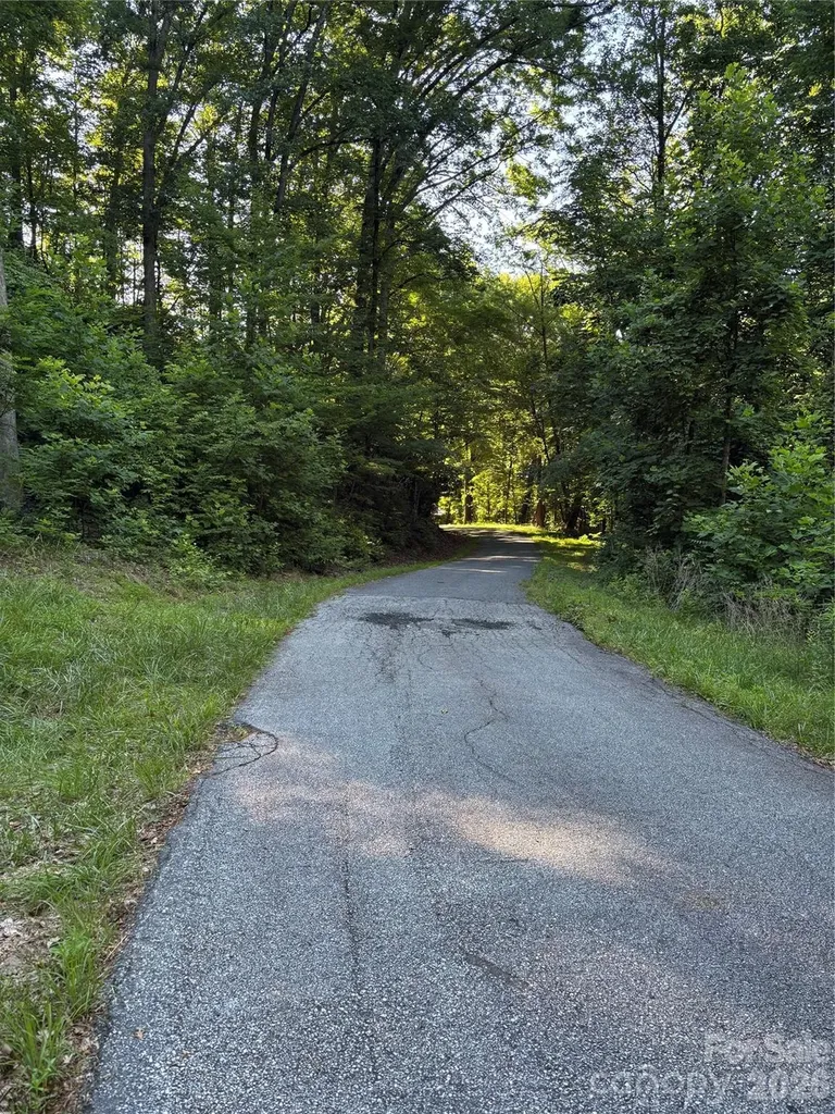 0 Lower Collier Cobb Drive Lake Lure NC 28746
