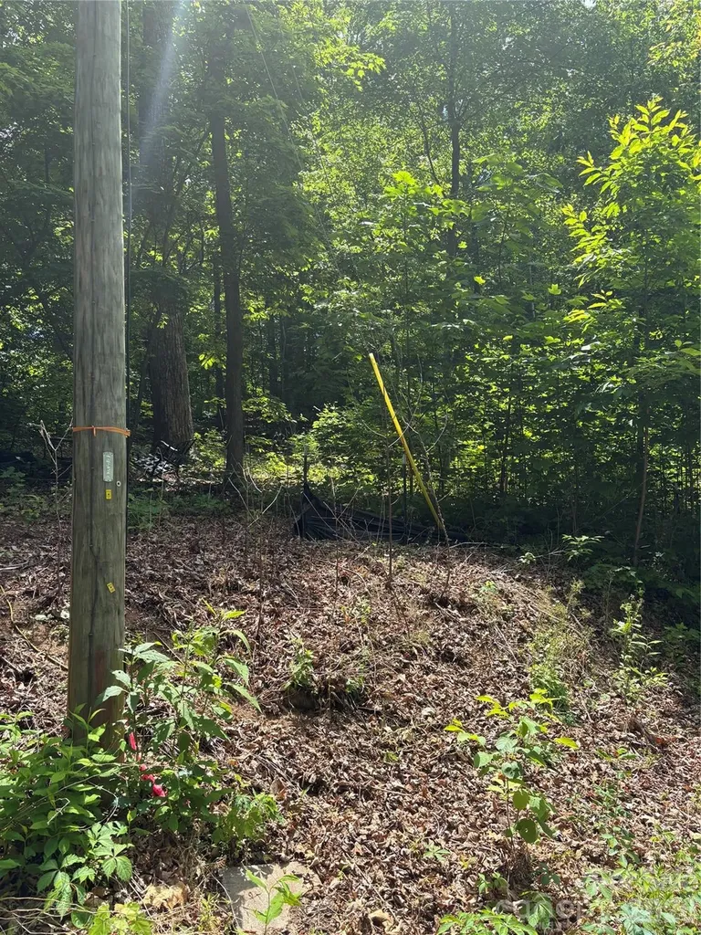 0 Lower Collier Cobb Drive Lake Lure NC 28746