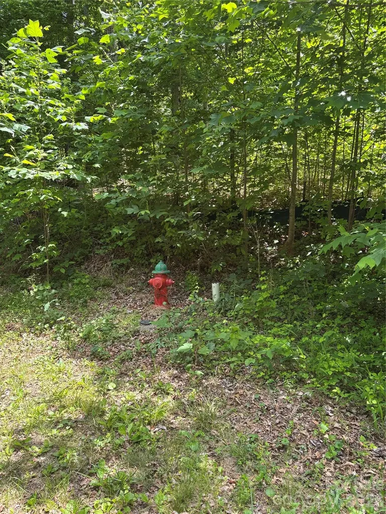 0 Lower Collier Cobb Drive Lake Lure NC 28746