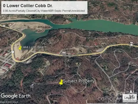0 Lower Collier Cobb Drive Lake Lure NC 28746