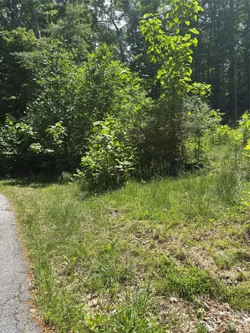 0 Lower Collier Cobb Drive Lake Lure NC 28746