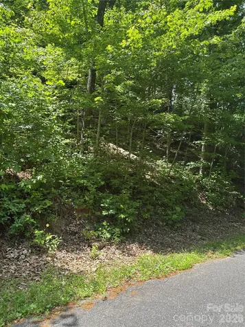 0 Lower Collier Cobb Drive Lake Lure NC 28746