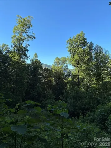 0 Lower Collier Cobb Drive Lake Lure NC 28746