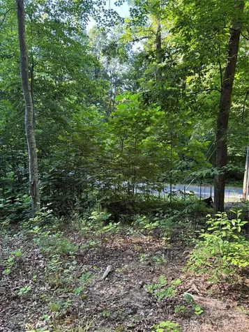 0 Lower Collier Cobb Drive Lake Lure NC 28746