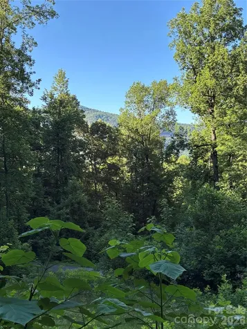 0 Lower Collier Cobb Drive Lake Lure NC 28746