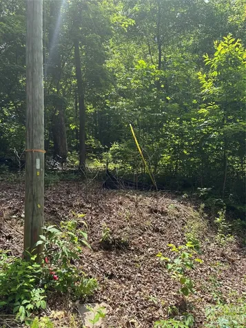 0 Lower Collier Cobb Drive Lake Lure NC 28746