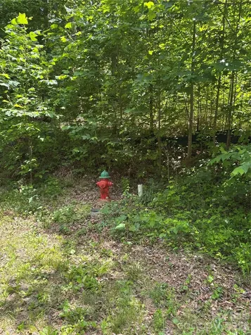 0 Lower Collier Cobb Drive Lake Lure NC 28746