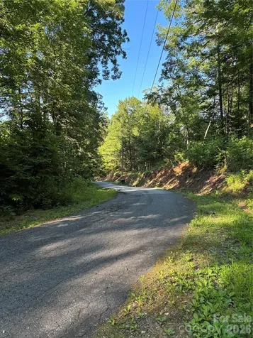 0 Lower Collier Cobb Drive Lake Lure NC 28746
