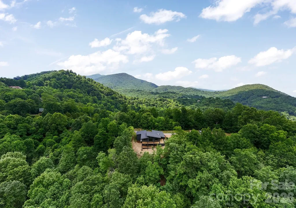 60 King Horn Ridge Waynesville NC 28785