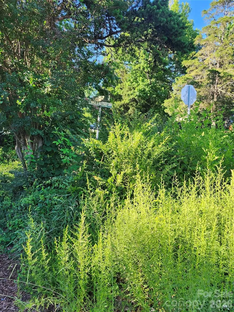 12324 Tweedsmuir Drive Pineville NC 28134