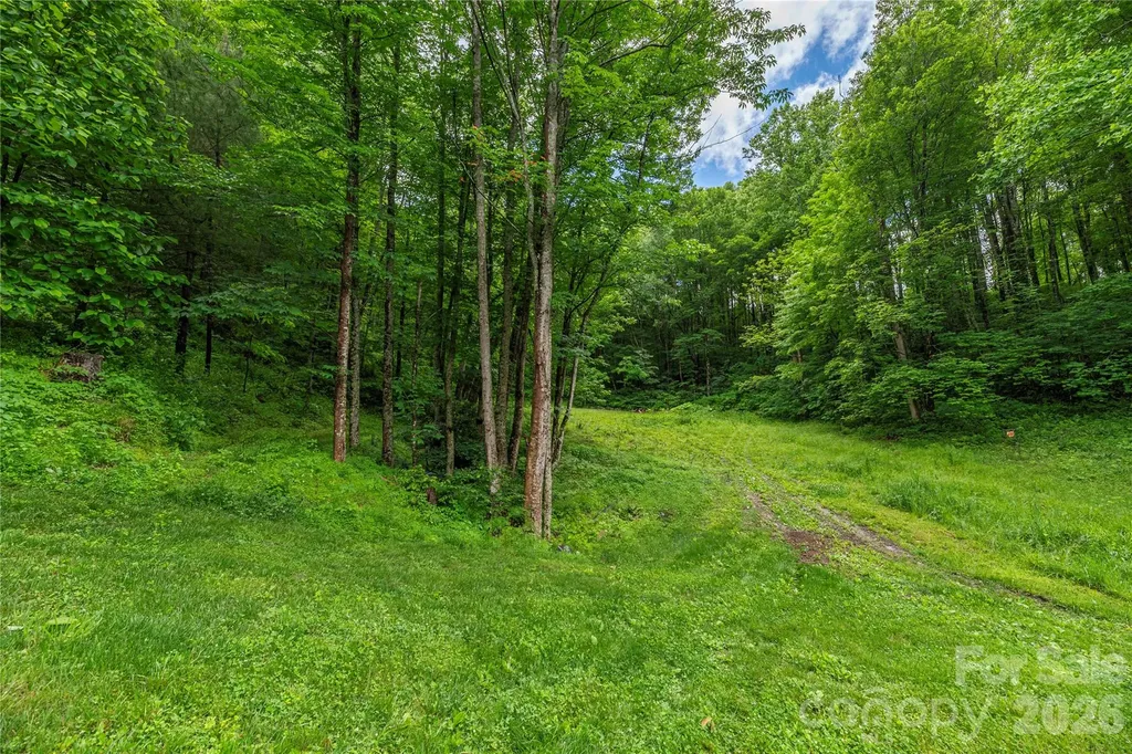 262 Gibson Branch Road Clyde NC 28721