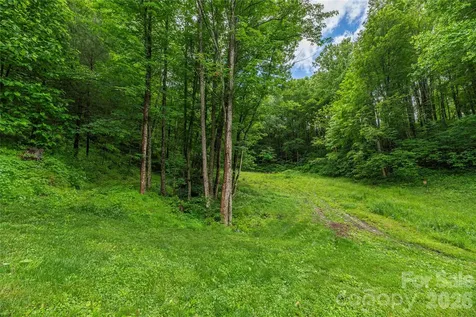 262 Gibson Branch Road Clyde NC 28721
