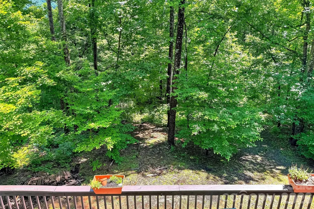 1828 Mckenzie Way S Old Fort NC 28762