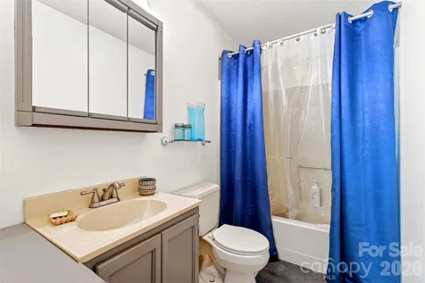1828 Mckenzie Way S Old Fort NC 28762
