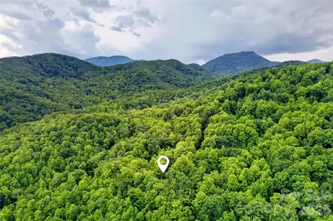 1828 Mckenzie Way S Old Fort NC 28762