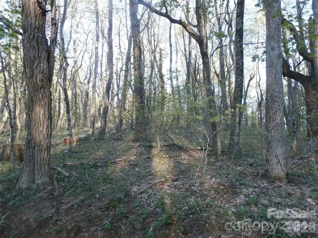 288 Firetower Road Spruce Pine NC 28777