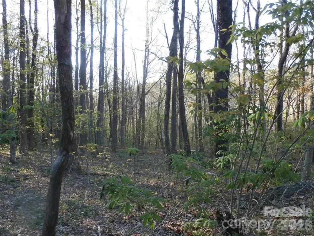 288 Firetower Road Spruce Pine NC 28777