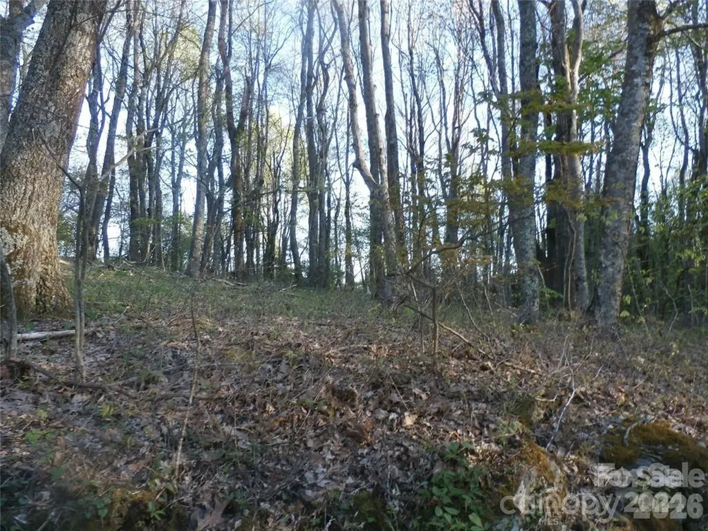 288 Firetower Road Spruce Pine NC 28777