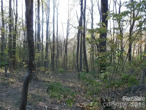 288 Firetower Road Spruce Pine NC 28777