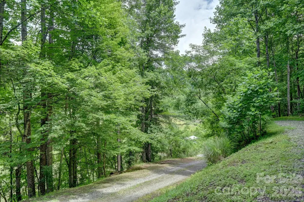 560 Morgan Branch Road Marshall NC 28753