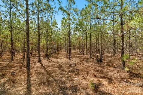 931 Charlie Johnson Road Kershaw SC 29067