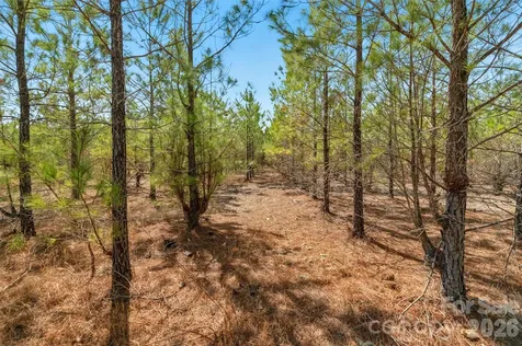 931 Charlie Johnson Road Kershaw SC 29067