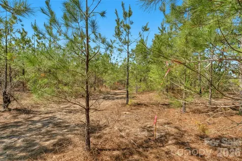 931 Charlie Johnson Road Kershaw SC 29067