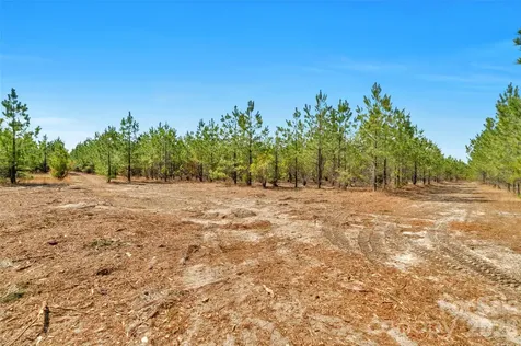 931 Charlie Johnson Road Kershaw SC 29067