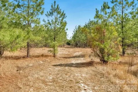 931 Charlie Johnson Road Kershaw SC 29067