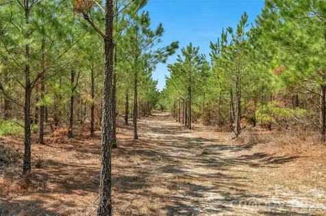 931 Charlie Johnson Road Kershaw SC 29067
