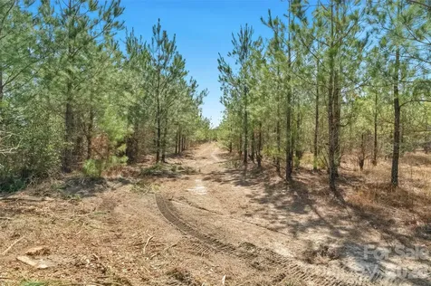 931 Charlie Johnson Road Kershaw SC 29067