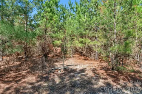 931 Charlie Johnson Road Kershaw SC 29067