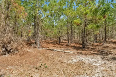 931 Charlie Johnson Road Kershaw SC 29067