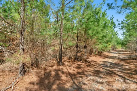931 Charlie Johnson Road Kershaw SC 29067