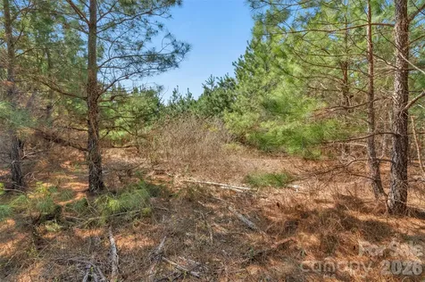 931 Charlie Johnson Road Kershaw SC 29067